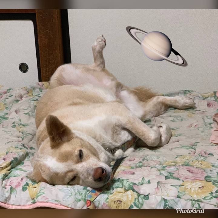 A6657433 9d4d 4815 86d3 feb9c0153998 1561217361347