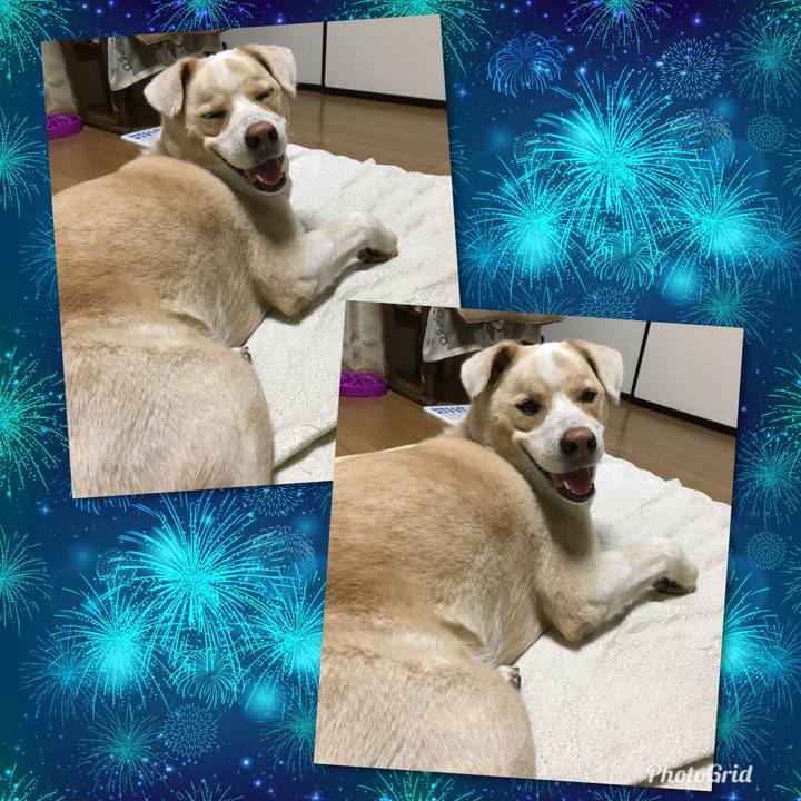 A6658824 3b74 4ec1 936a 7270159fb5f3 1533364014891