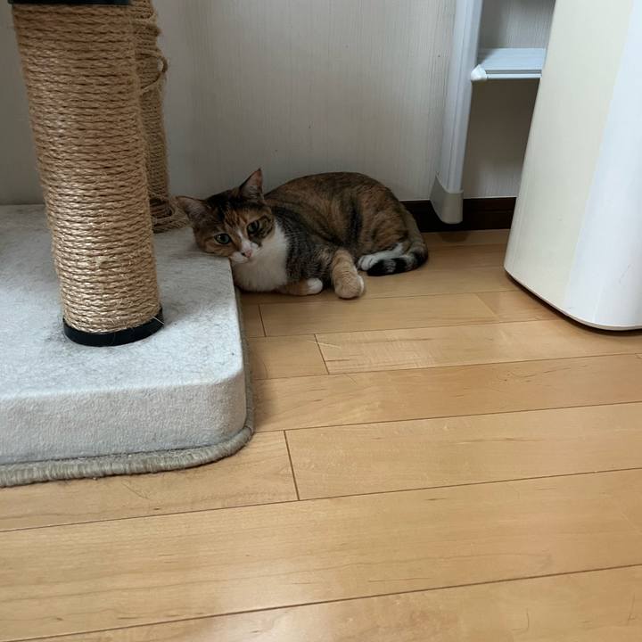 A665db08 1f60 4d10 9b1e fc970e6ae341 1719445773967