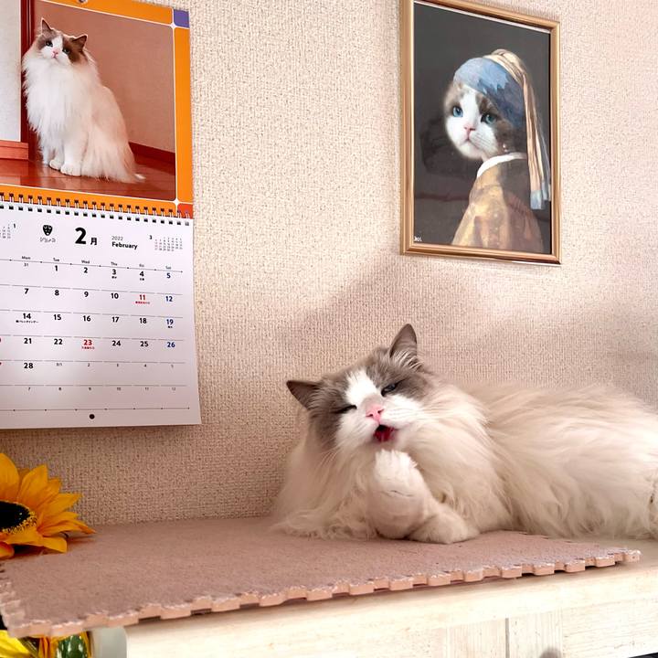 A665e553 eaf9 450c b855 7a31b2ad4116 1645439598622