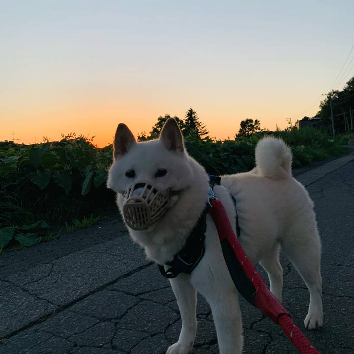 A665f0bb 22a9 4850 aae1 56be96afd54b 1661114950546