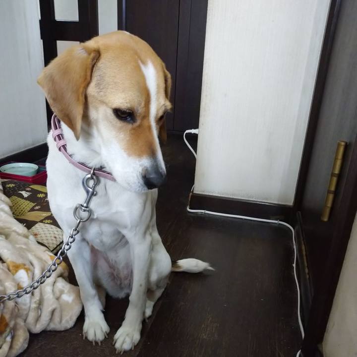 A6662b33 2e73 4300 87e3 7fec6b9728fa 1581995708943