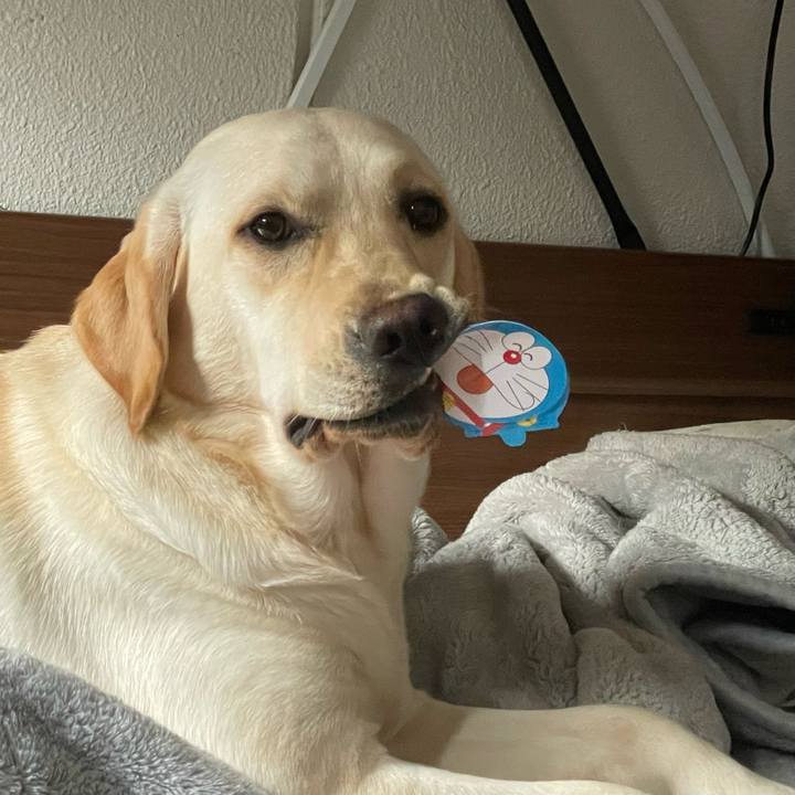 A6664ae2 1db0 44c6 b58e 3ecdd3c2e7a7 1648079499801