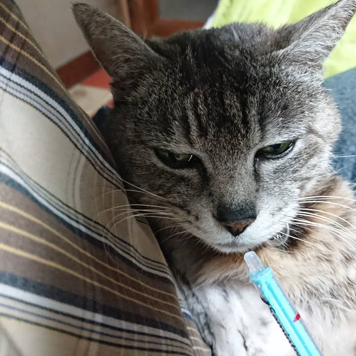 A6667b75 87cd 4842 8d48 baa394b962c7 1589062936279