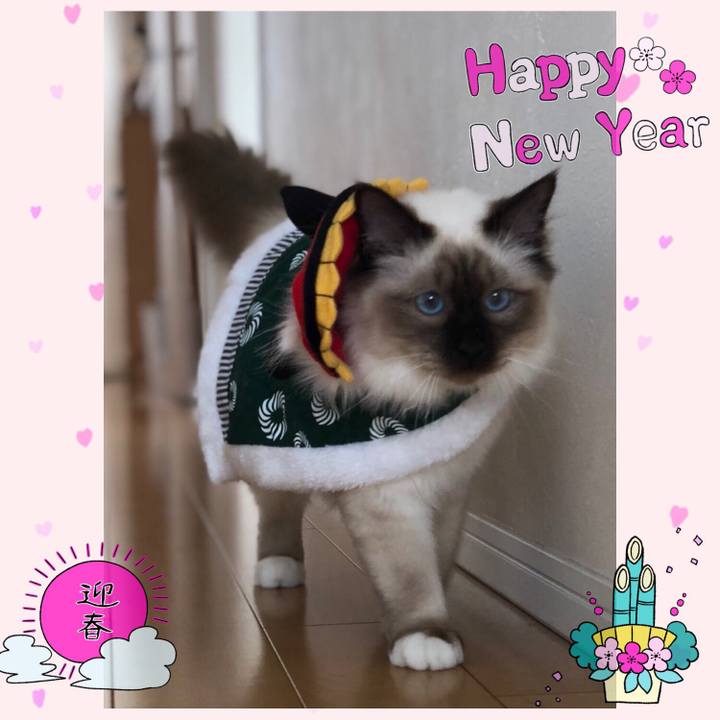 A66696c0 16b8 462f 9cab 8e7c3344fd39 1514989727398