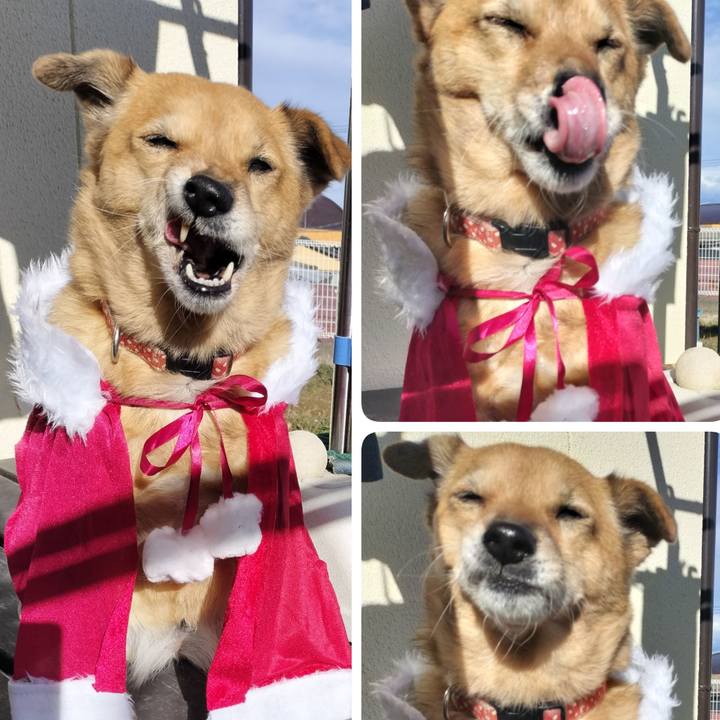 A666a386 504b 4270 9b1a b4a870ffe229 1734758325127