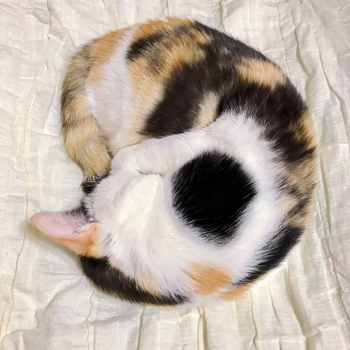 A666bc41 247b 4006 b3a6 c625d2d852bb 1508319318709