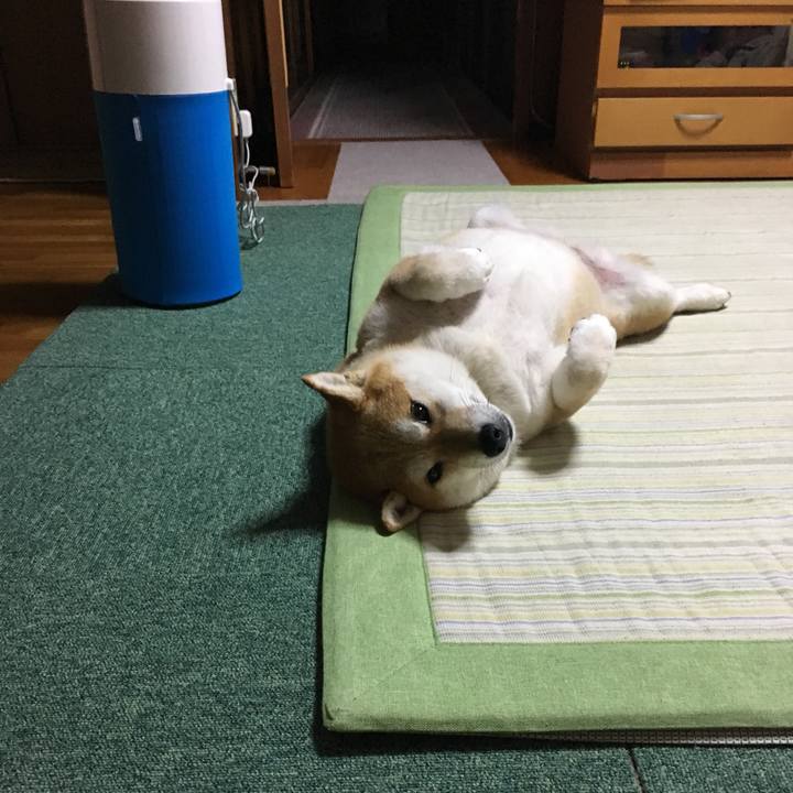 A666dc53 7a00 4a3f b618 7bcef8546ff4 1560247207934