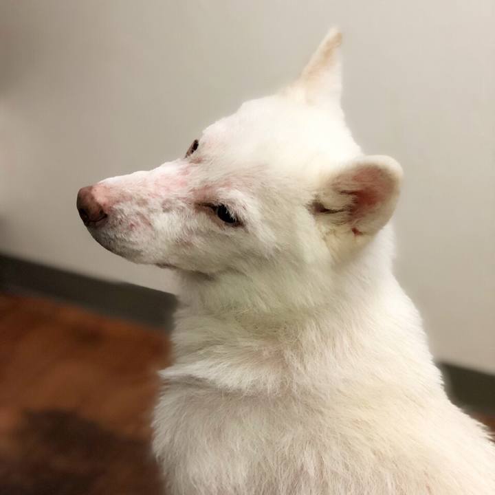 A666e171 7909 4a89 ab0a 1937852b25fc 1569742951338