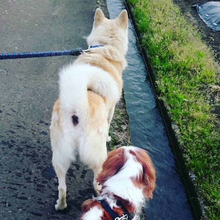 A666ef0d d107 426c 9be4 ed38c26c0373 1557357452215