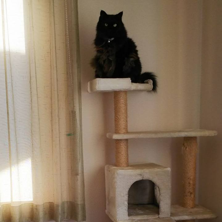 A667094f e32f 4a33 bb46 1e9ccc3271b3 1513986461786