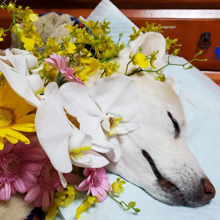 A6676486 4273 40b6 9b22 01da8b621de7 1682562846532