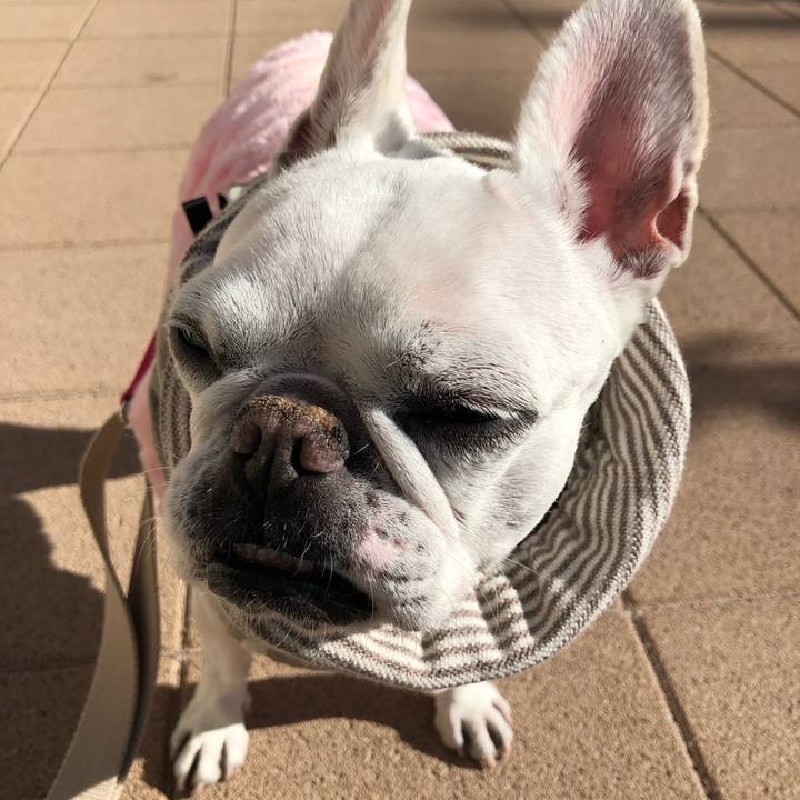 A6676539 295f 4937 b580 d6356ed07c78 1672718176293