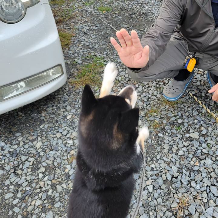 A6678270 bbe3 48c7 8b55 e67edbef34d9 1760493314804