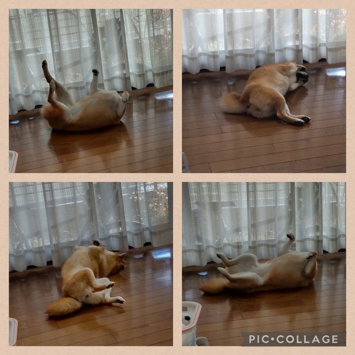 A6679cb8 b3cb 49b0 9dcf 305bad881643 1736226948626