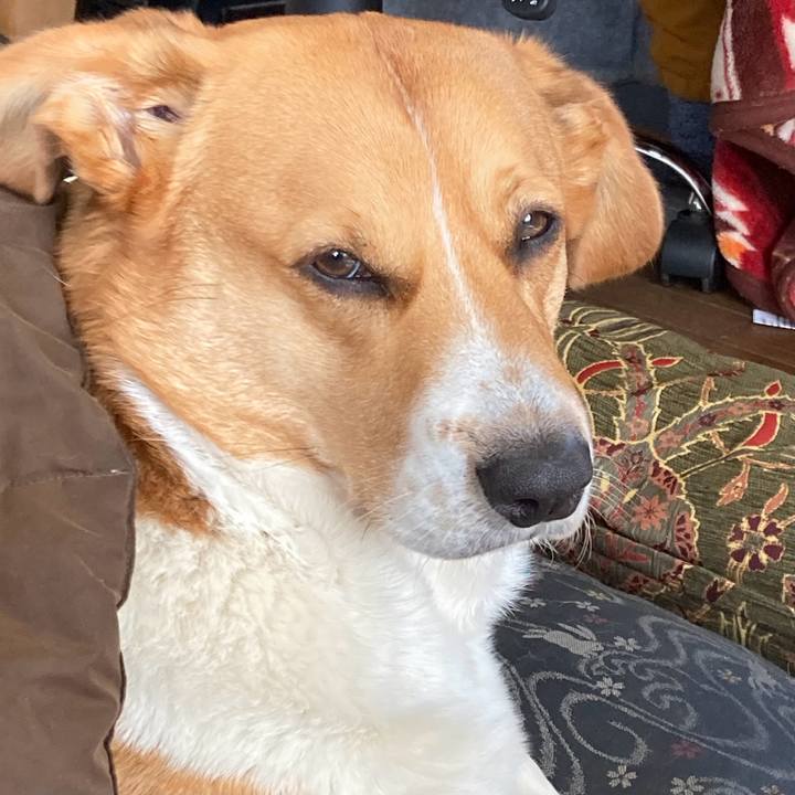 A667cc06 c9eb 427f a158 b38d9666b523 1710804275221