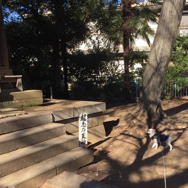 A667d3ed 62a9 4385 938b 5f828eb9cf80 1546411828352