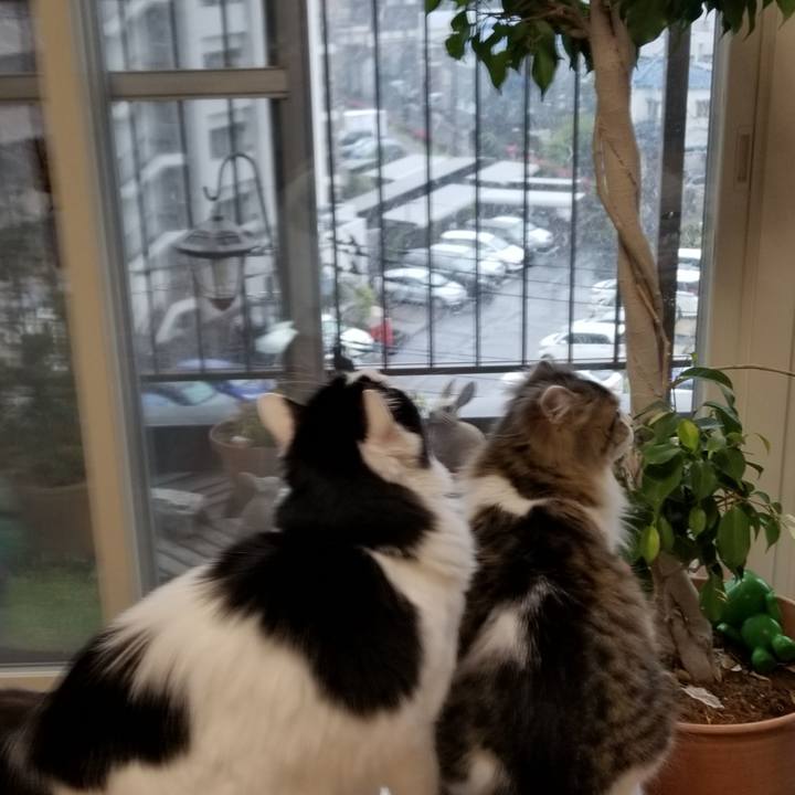 A667e019 1244 4a47 8aa2 704e4f46817b 1585436951882