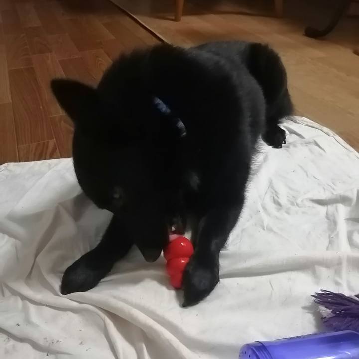 A667f510 788e 49a2 9a40 ebf8daa53963 1630444689820