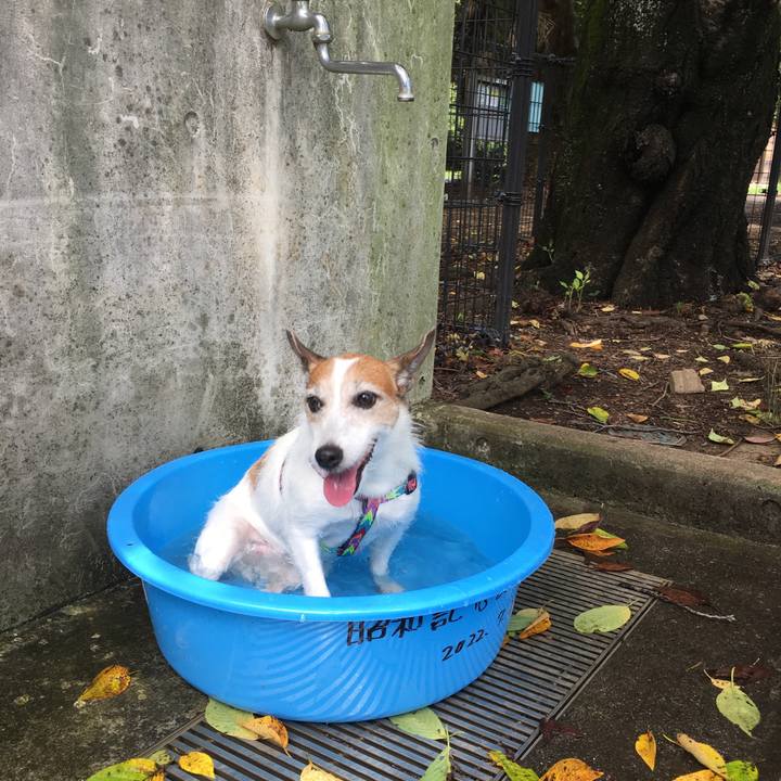 A66814db 797b 44f3 8f79 e4d52562f74d 1660692256353