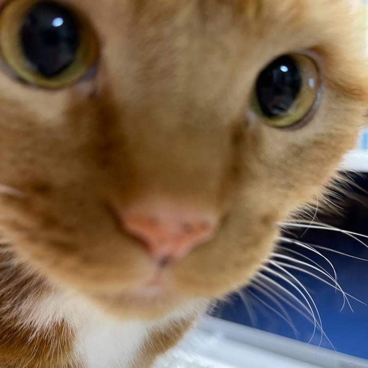 A6681a23 ef10 41b8 90af 60939907ba65 1615813318014