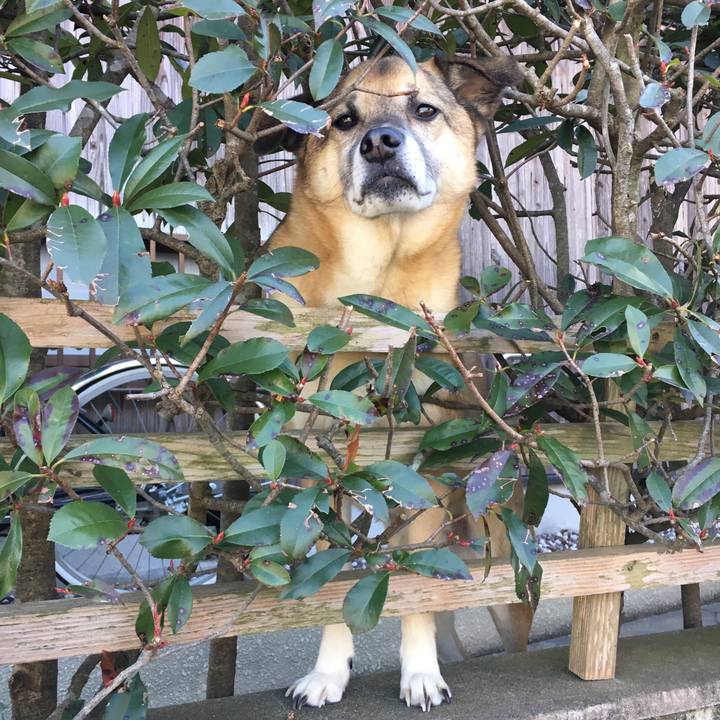 A6685da1 3786 414b 8d53 7c0e63909f05 1517717591020