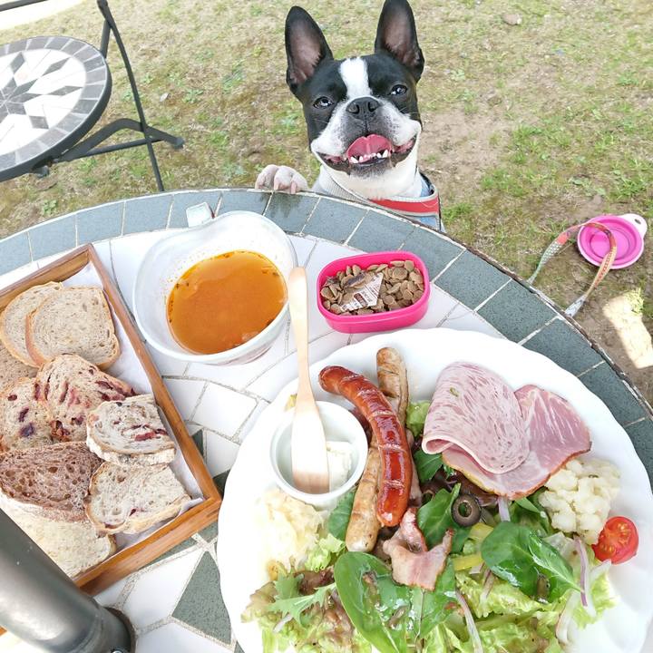 A66866d7 bd15 42c9 af70 b61a1c5971fc 1522573120286