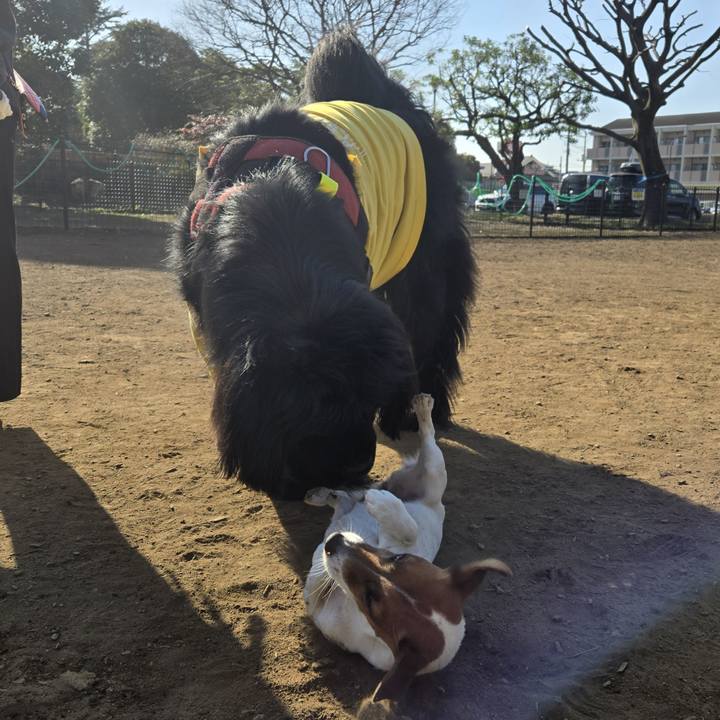 A668c436 fa26 4c60 95f9 1f930e76c274 1768664811836