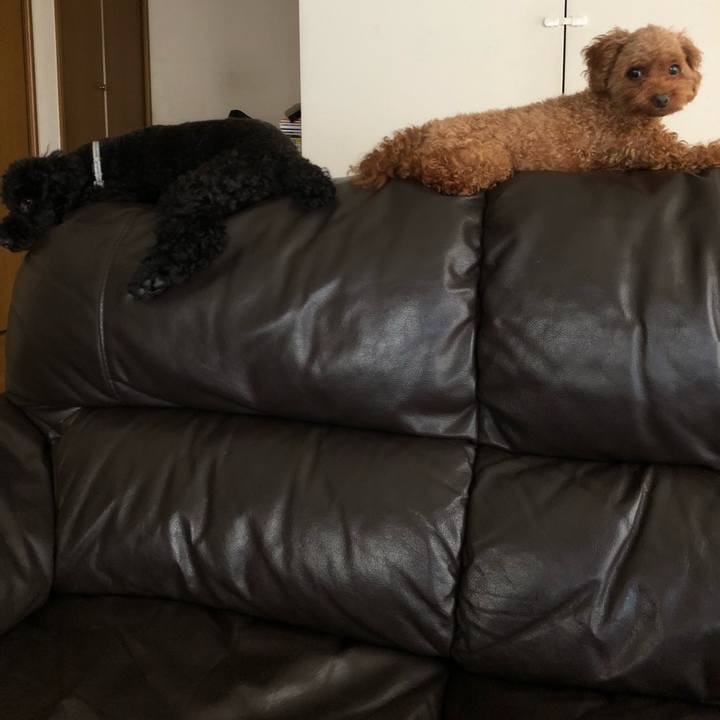 A668ed67 b31e 4d8e b5b7 0f015a6b3670 1536672193906