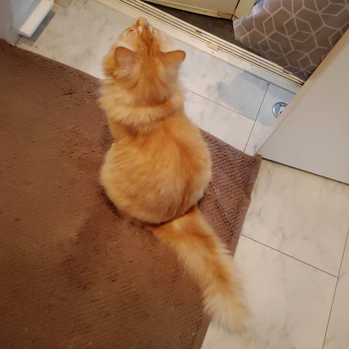 A668ee22 2b54 4265 aa1e 80462e9802d4 1661725795784