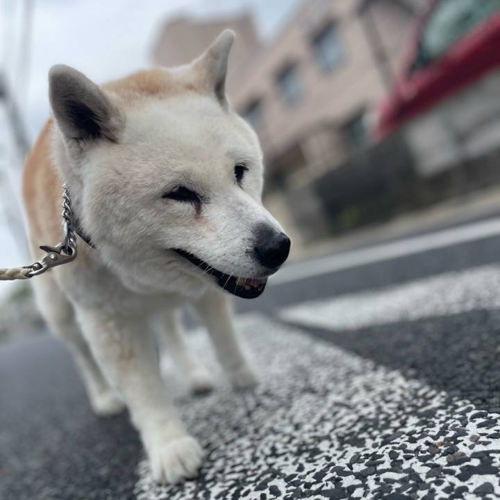 A668f668 b689 40b8 a75a e5ee8ebf99b6 1747606978215