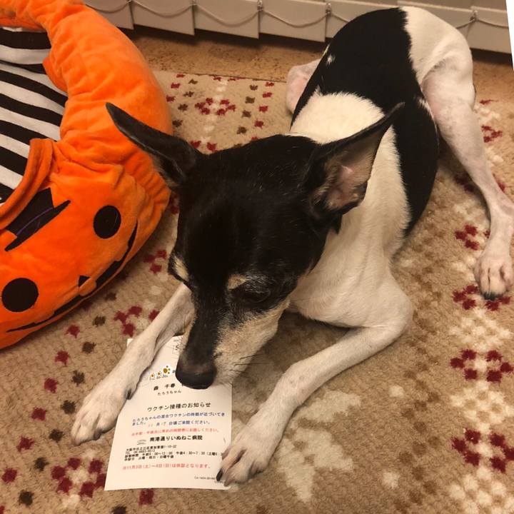 A6692b48 4a20 4712 a447 01881d07facf 1540198763043