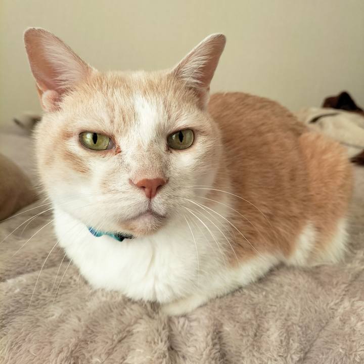 A669392c 1e34 411a 9499 b5be0dc73aea 1671321083797