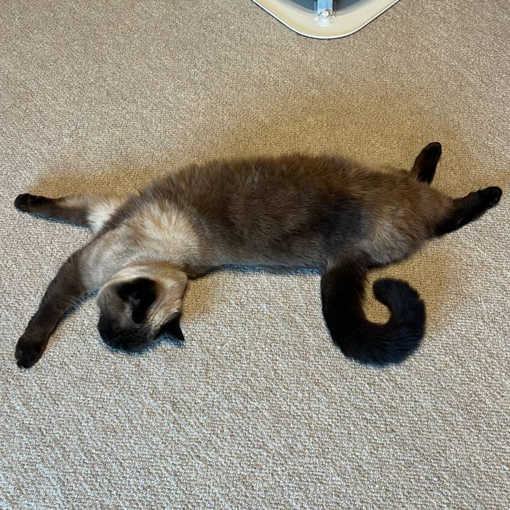 A66942e8 5cf3 4f26 b613 e354c33cac83 1648264309866