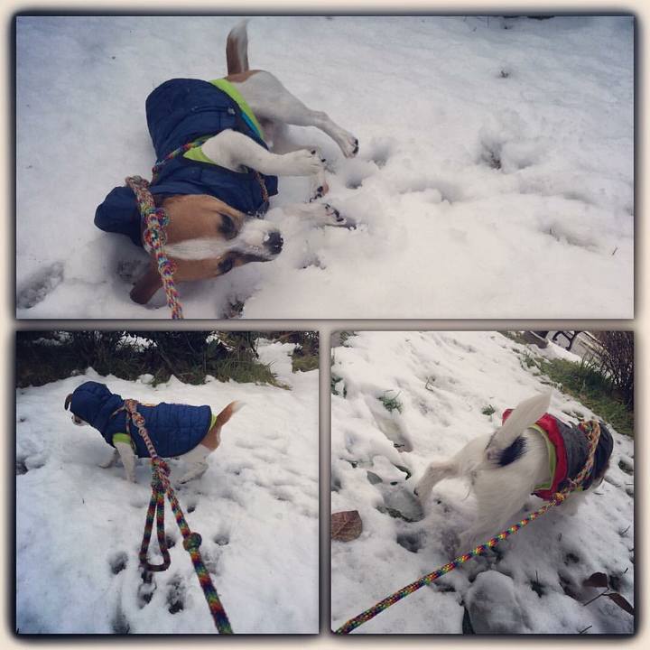 A6695d77 159b 464c ac8d ac12bcbe27c8 1516231311305