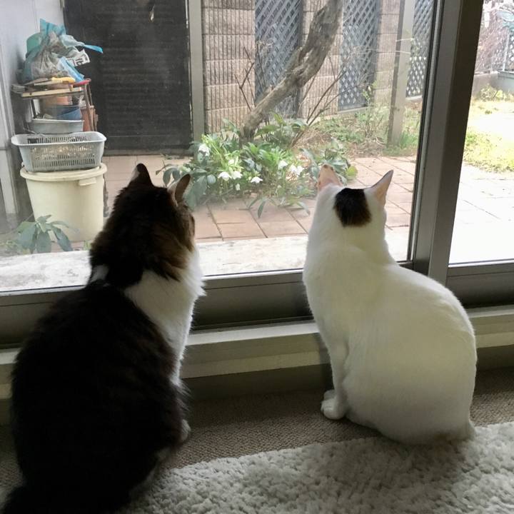 A6696653 b56d 4ca9 9f41 04d49608b100 1551585381760