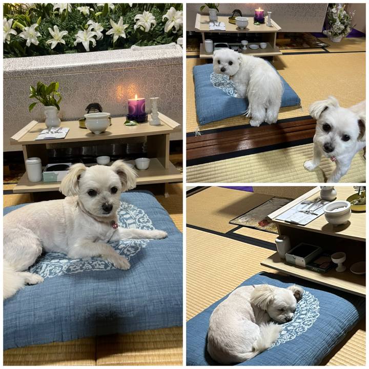 A6697f64 db82 40d9 a9af 2549855e24d2 1658581586230