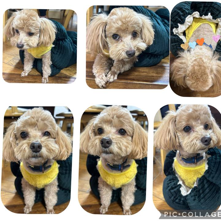 A669a198 e523 49f8 97ef e5cbf7ae9980 1735471199947