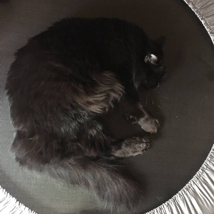 A669b675 6c8e 4973 8361 de44e692e065 1516065291938