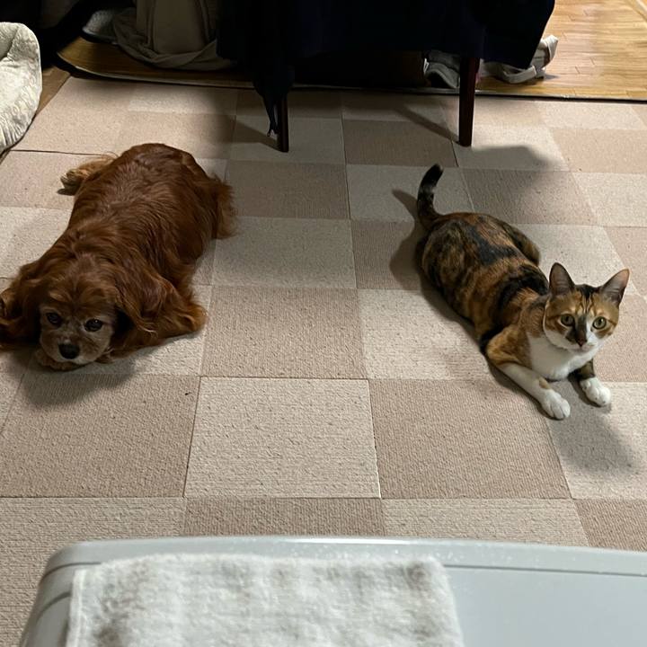 A669bdd7 ff57 4c95 ad0e 7867103445cc 1773141398241