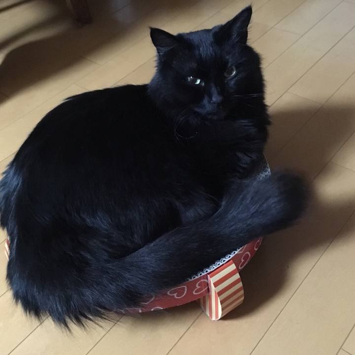 A66a4c2d 8547 49c5 a513 aefea21a1ce8 1524229267074