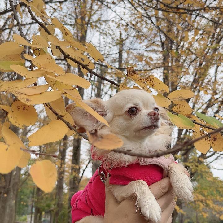 A66a5875 420b 4484 b2c6 1e01d687391d 1731741576260