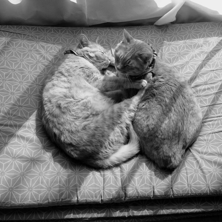 A66a7f16 3c3d 4d21 aa0a f87f304d1bae 1646968404968