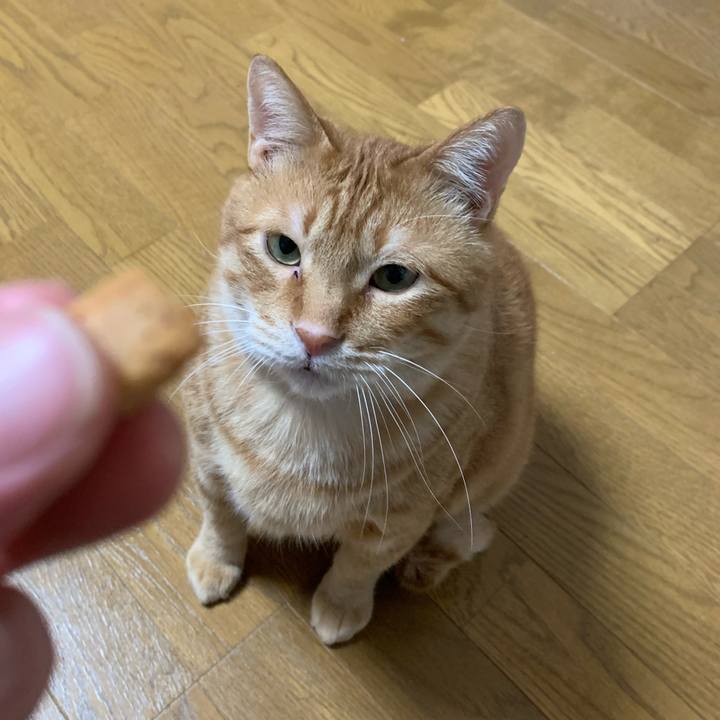 A66a87f3 8378 45e3 8882 7f15d5f5e193 1583145640238