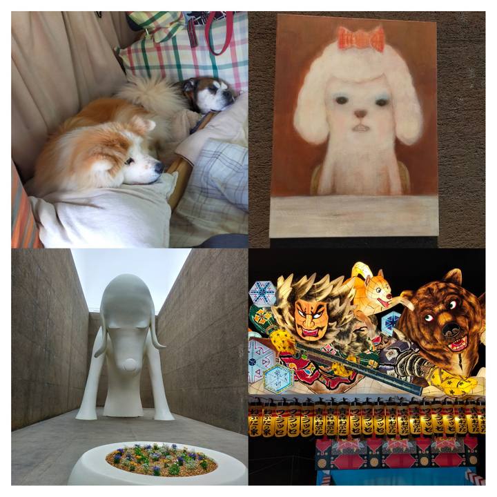 A66a8806 9de8 4343 9da8 a0a19d3da989 1653401334264