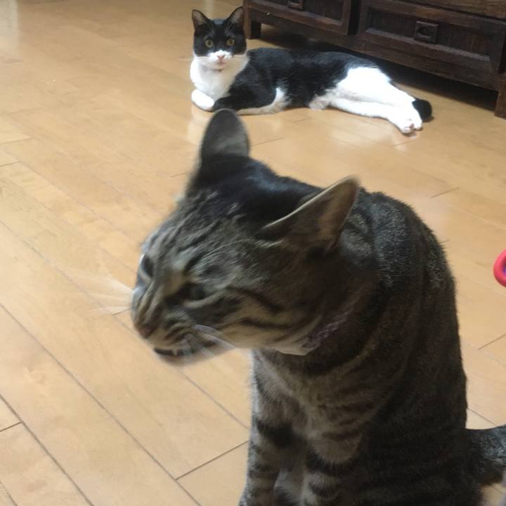 A66aa04f 2ce7 4915 9ddf d45964957d56 1584877251575