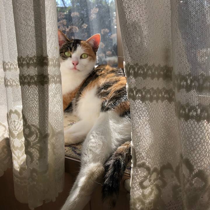 A66b07d8 0184 498b bc5e ec4e153dbadf 1580269785581