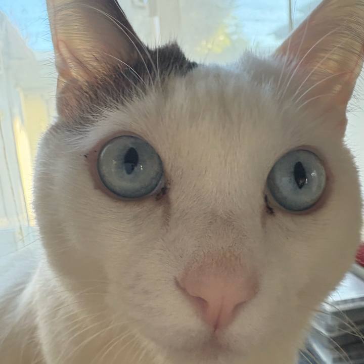 A66b4463 ee27 432b 9851 3edb665d3fc0 1738359632651