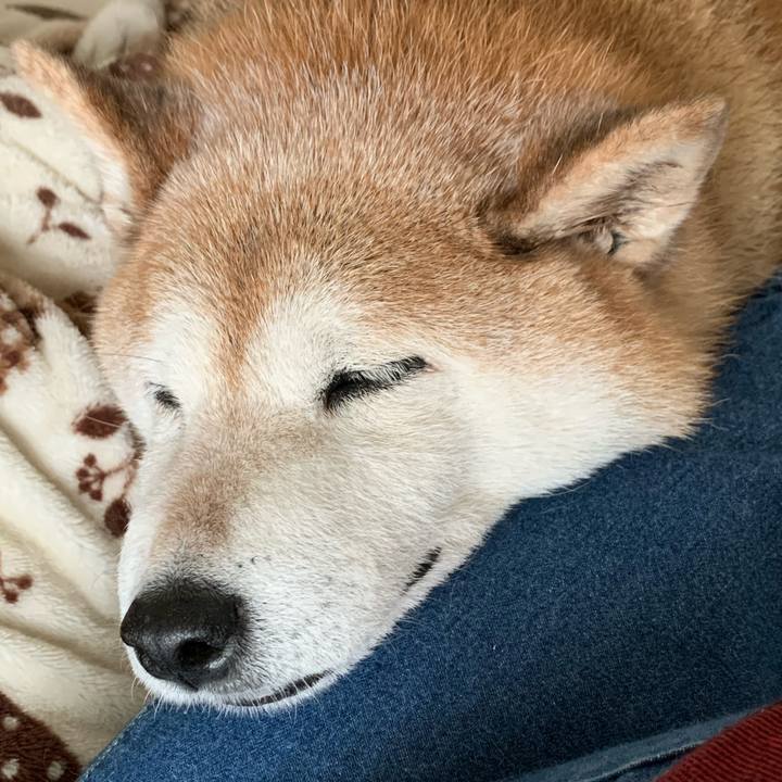 A66b5c1a 488f 452f 91f9 1108aeb62989 1585371063390