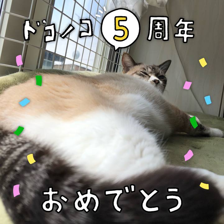 A66b7d66 a2f8 46cf bb40 bf7935106c70 1622952119892